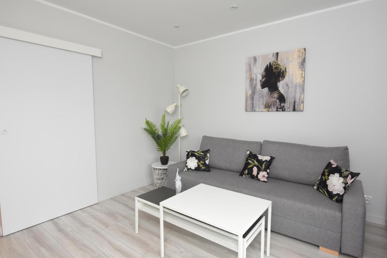 Dreamer Apartment Stary Toruń Kültér fotó