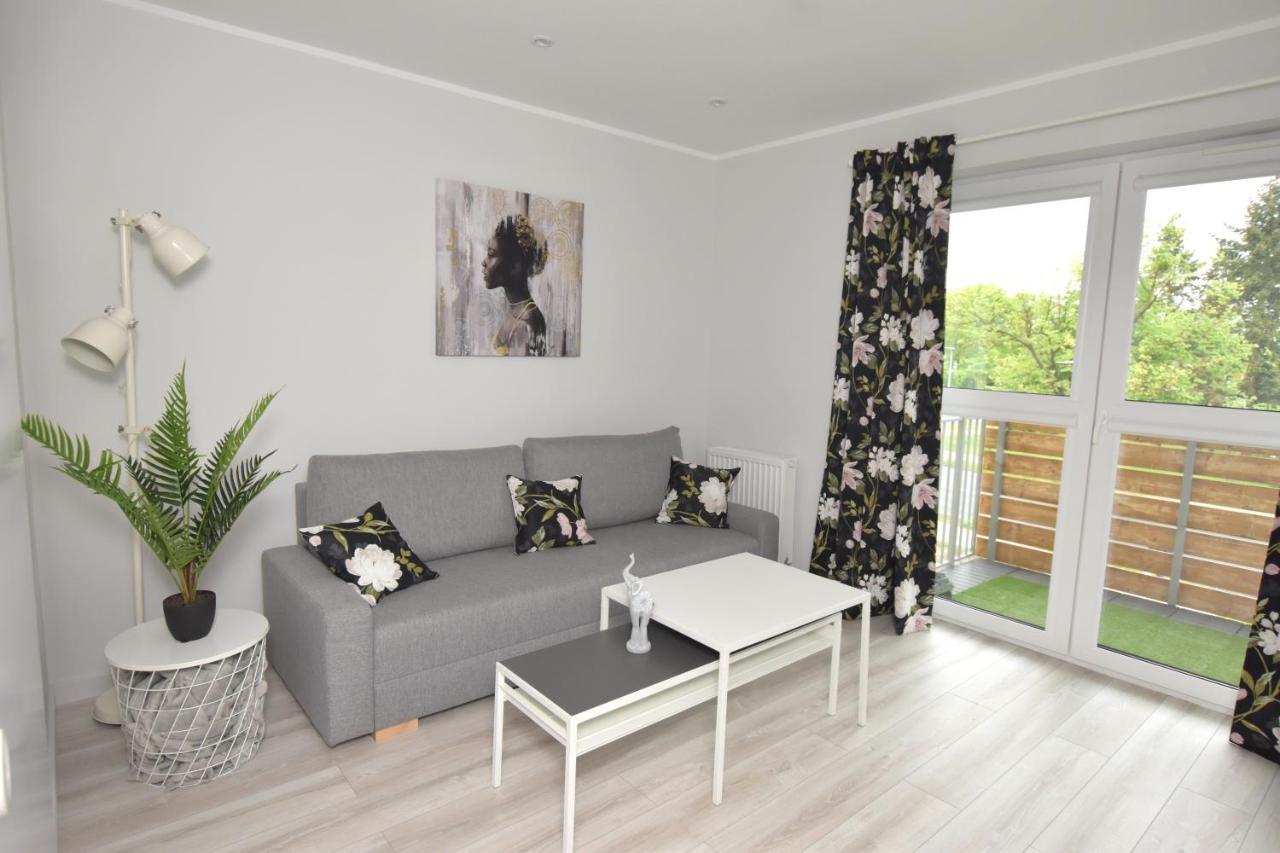 Dreamer Apartment Stary Toruń Kültér fotó